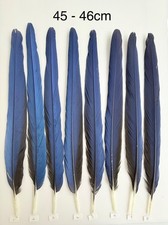 Parrot Macaw Feather Crafts