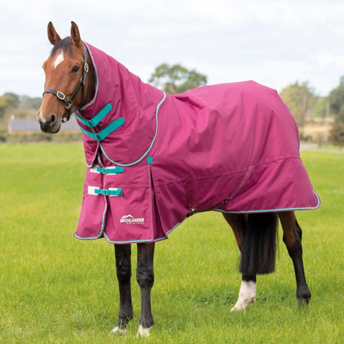 Shires highlander original - highlander,