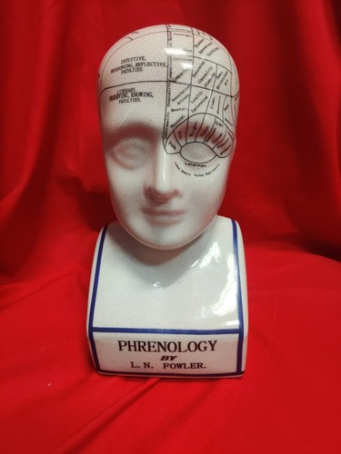 Phrenology bust head fowler - head, ln