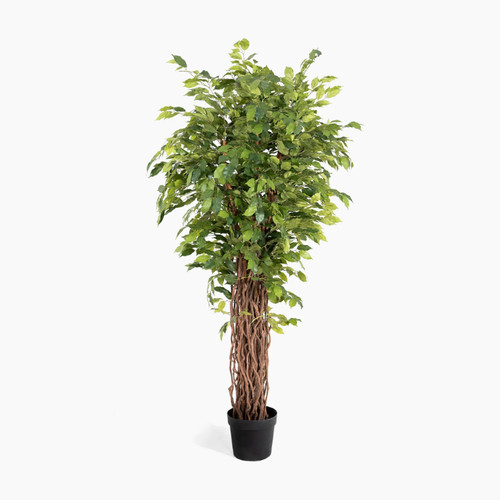 Blooming artificial damaged - -,