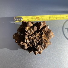 Iron pyrite nodule from seven - iron,