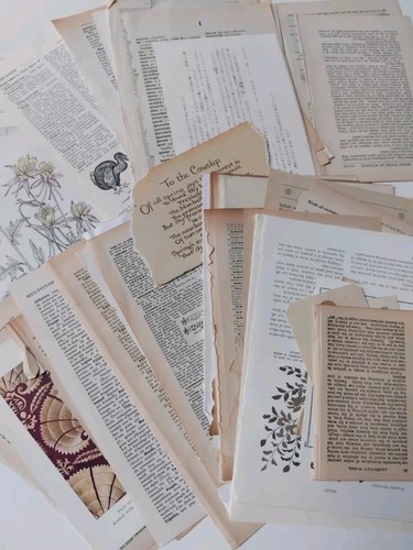 Junk journal ephemera paper - junk,