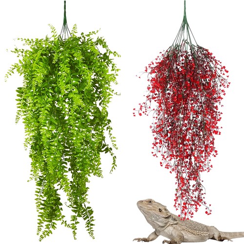 Pinvnby pack reptile plants - reptile,