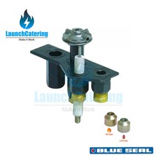 Blue Seal Pilot Assembly -