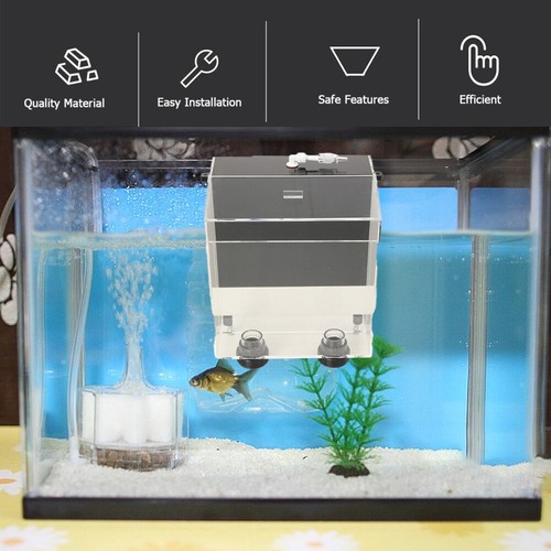 Advanced aquarium overflow - aquarium, box