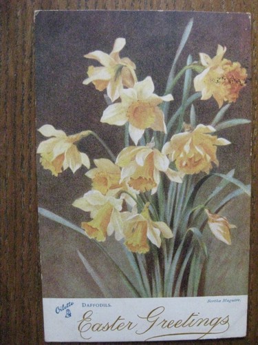 Easter greetings - greetings,