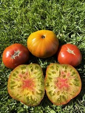 Rare Heirloom Tomato- Maple Syrup (10seeds).