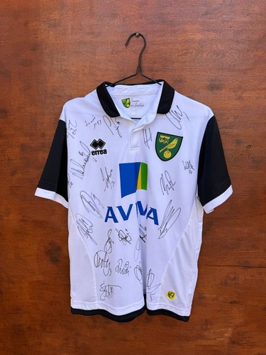 Norwich city 2013 2014 - norwich, away