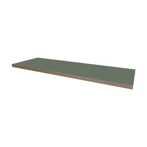 Laminated birch plywood shelf - birch,