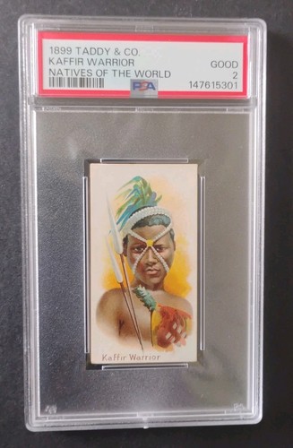 Taddy natives the - taddy,