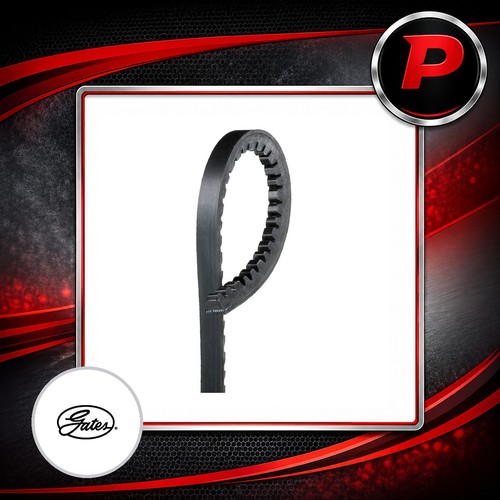 Gates belt right fits - v-belt, acura