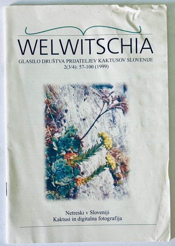 Welwitschia 1999 always - welwitschia, |