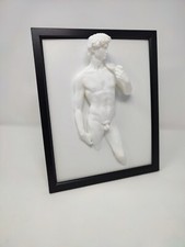 Framed Michelangelo's Statue