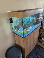 Juwel Rio 125 Aquarium and