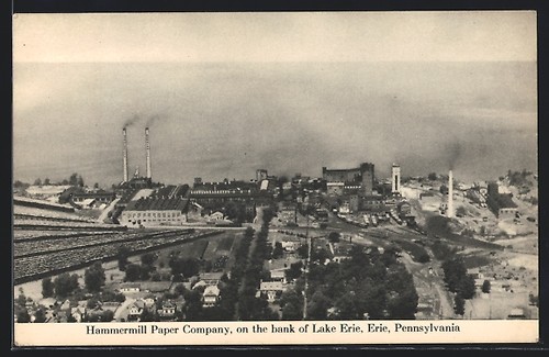 Erie hammermill paper - hammermill,