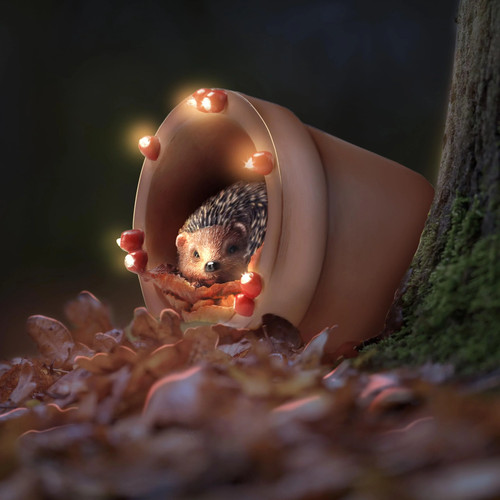 Muldale hamish hedgehog garden - muldale,