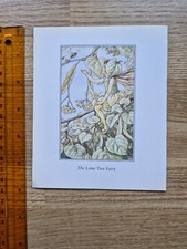 CICELY MARY BARKER - The
