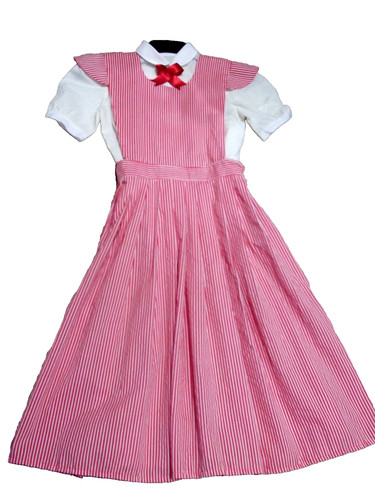 Dorothy wizard costume - oz,