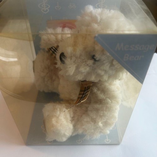 Message bear with recordable - with,