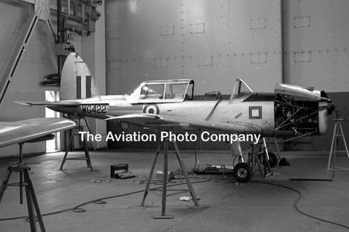 Raf dhc chipmunk - chipmunk, t.10
