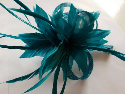 Bnwt dark teal - bnwt🌷dark, teal🌷clip-on