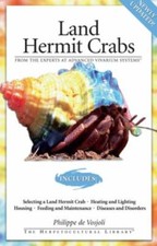 Land hermit crabs philippe - hermit,
