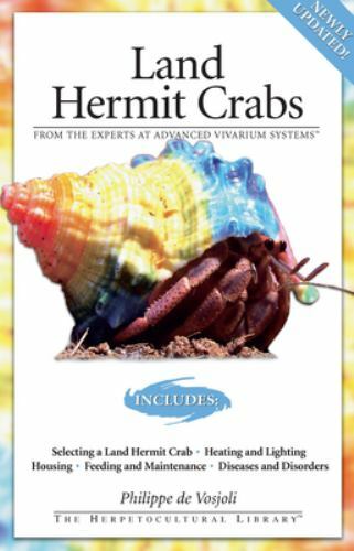 Land hermit crabs - by, philippe