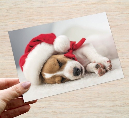 Jack russell christmas cards - russell,