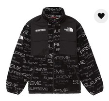 Supreme The North Face Steep