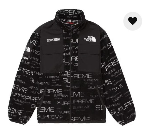 Supreme the north face - supreme,