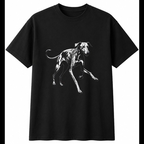 Charcoal lurcher torn dog - torn,