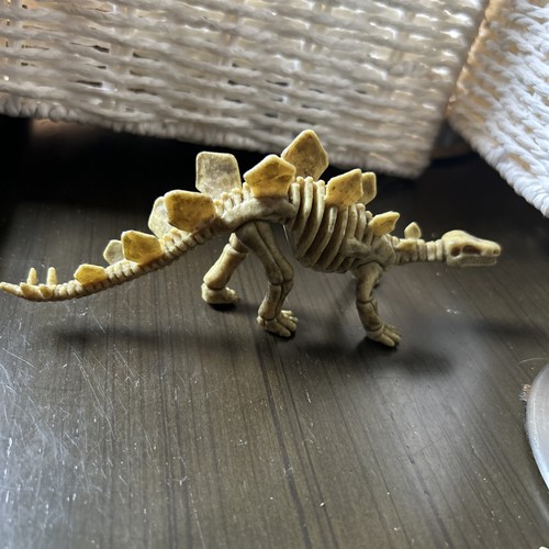 Stegosaurus dinosaur skeleton - stegosaurus, dinosaur,