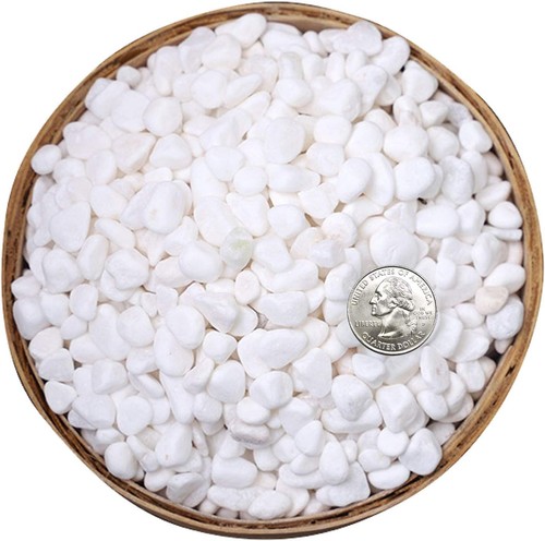 Elegant small white river - small,