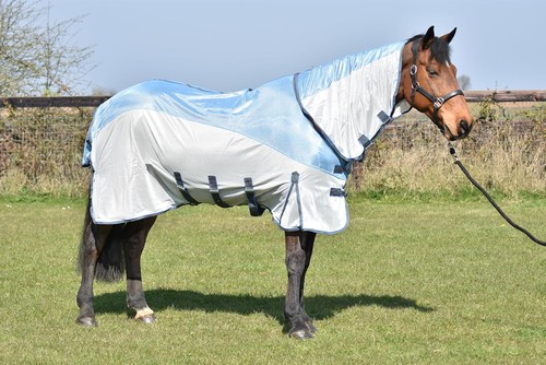 All one horse fly - fly, rug