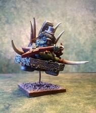 SLASH THE SLANN Mage priest on palanquin, Warhammer Lizardmen Army,