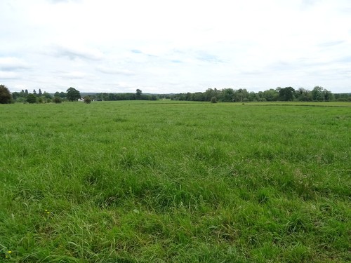 Photo 6x4 grassland - grassland,, betton