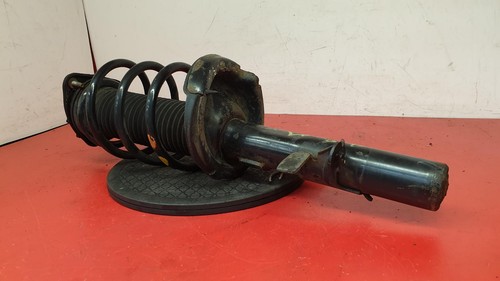 Ford focus shock absorber - shock,