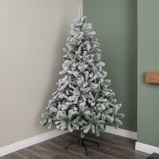 7ft (2.1m) Snowy Imperial Pine