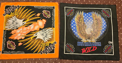 Harley davidson lot - 2, eagle