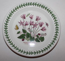 Portmeirion - Botanic Garden -