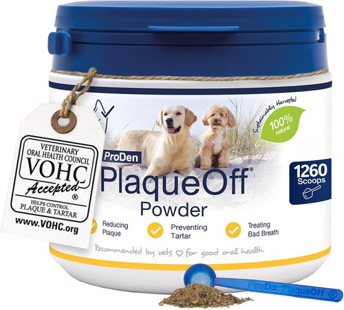 Proden plaqueoff powder for - powder,