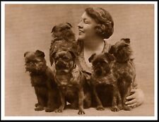 BRUSSELS GRIFFON LADY & DOGS