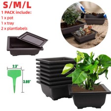 Plastic bonsai training - plastic,