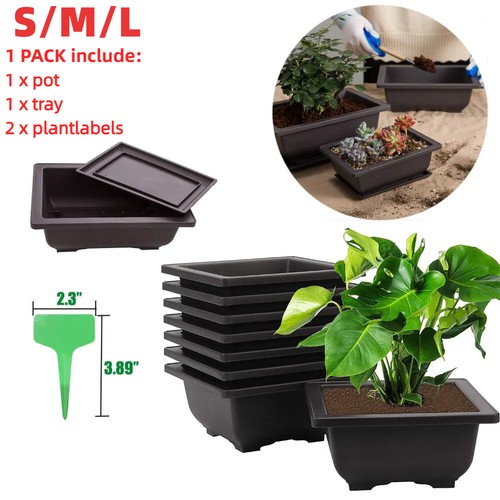 Plastic bonsai training - s/m/l,