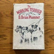 The working terrier brian - terrier, d.brian