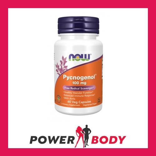 Now foods pycnogenol - -,