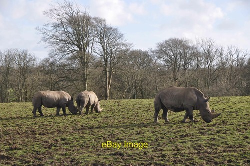 Photo 12x8 pembrokeshire - pembrokeshire,