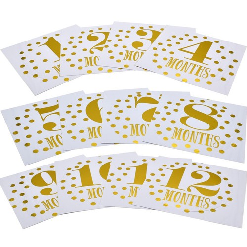 12pcs baby monthly milestone - baby,