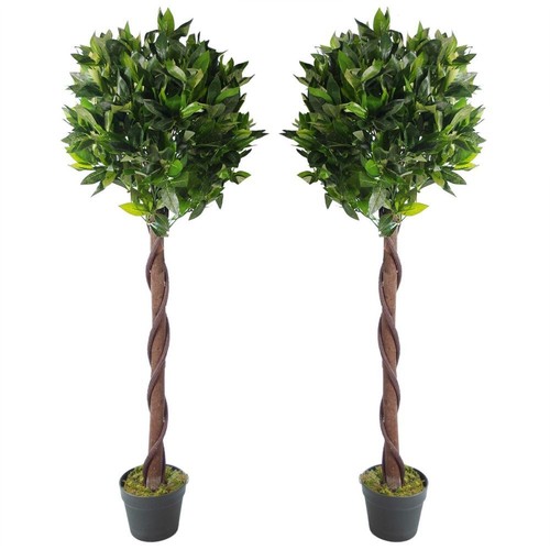 Pair 120cm twisted - 120cm, (4ft)