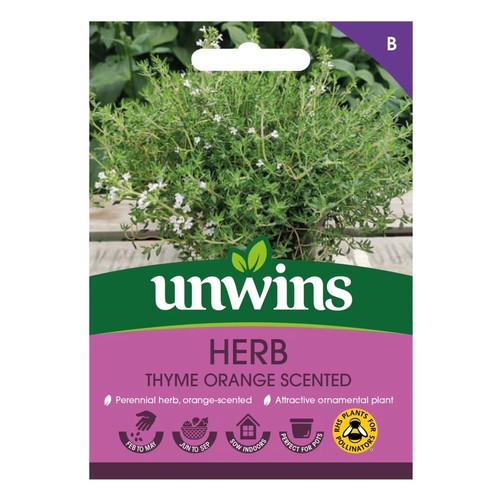 Herb thyme orange scented - thyme,